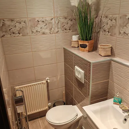 Rush Apartament *